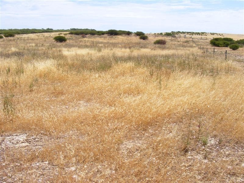 Lot 3 Farm Beach Rd, Wangary SA 5607
