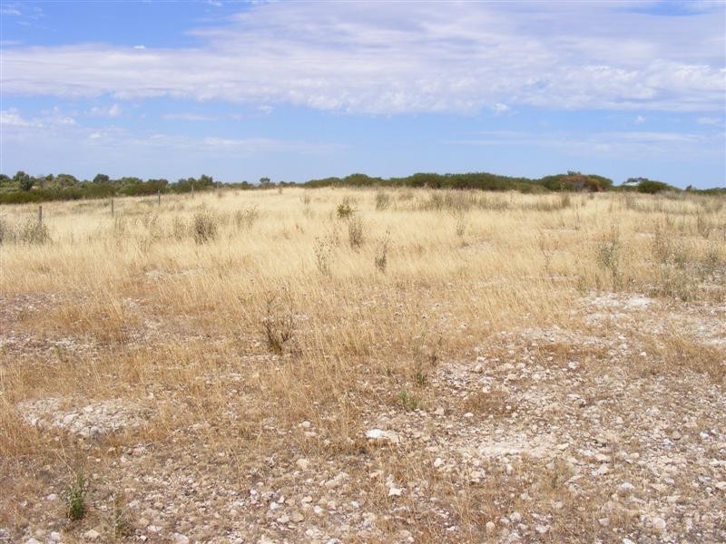 Lot 3 Farm Beach Rd, Wangary SA 5607