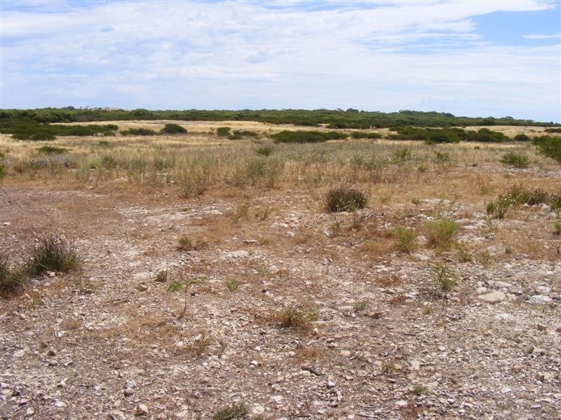Lot 3 Farm Beach Rd, Wangary SA 5607