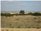 Sec 166 Taylor, Wangary SA 5607