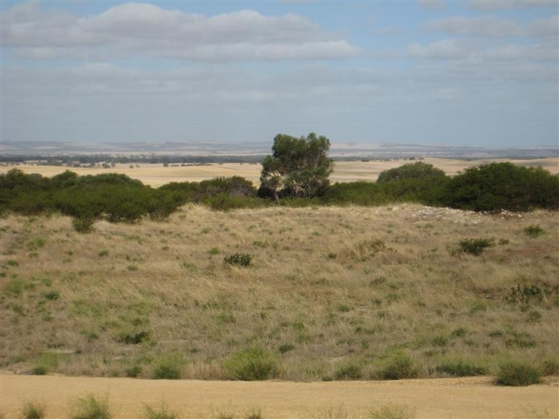 Sec 166 Taylor, Wangary SA 5607