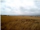 Lot 59 Laguna Avenue, Ceduna SA 5690