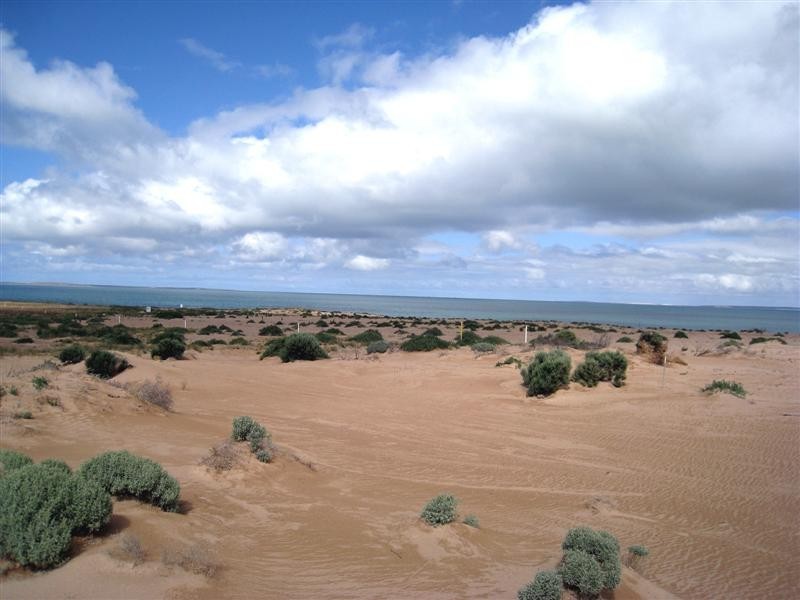 Lot 80 Bosanquet Boulevard, Ceduna SA 5690