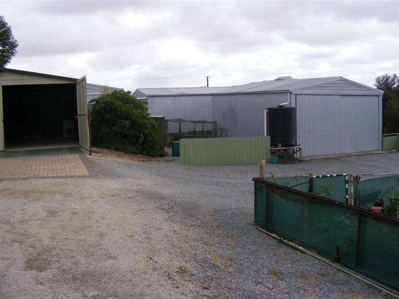 Lot 1 Woolshed Drive, Mount Dutton Bay SA 5607