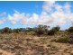 Lot 34 Thiselton Way, Denial Bay, Ceduna SA 5690