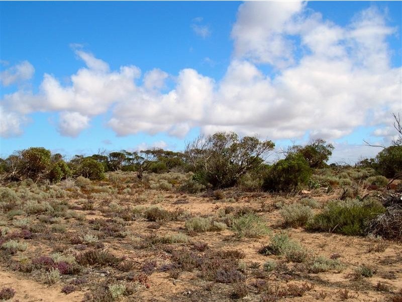 Lot 34 Thiselton Way, Denial Bay, Ceduna SA 5690