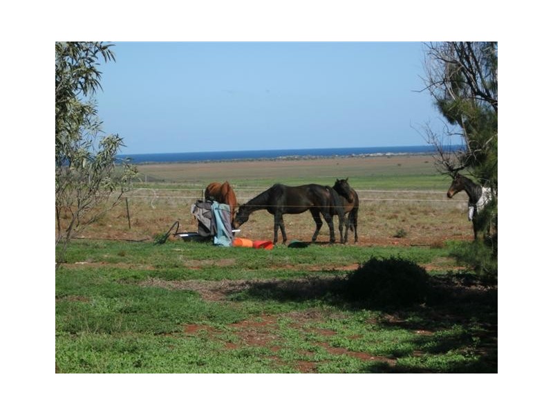 51 Coast Road, Tumby Bay SA 5605