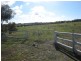 Lot 50 Kestrel Crt, Port Lincoln SA 5606