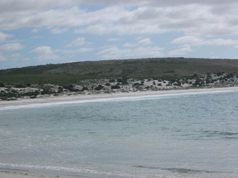 Lot 22 Swaffers Road, Lipson SA 5607