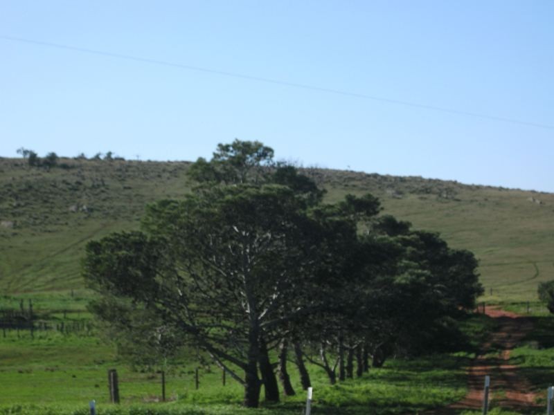 Lot 22 Swaffers Road, Lipson SA 5607