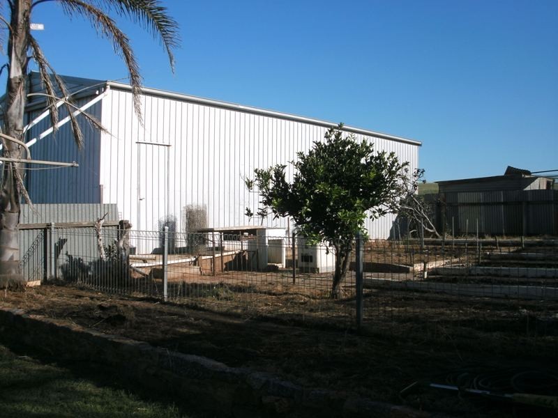 Lot 22 Swaffers Road, Lipson SA 5607