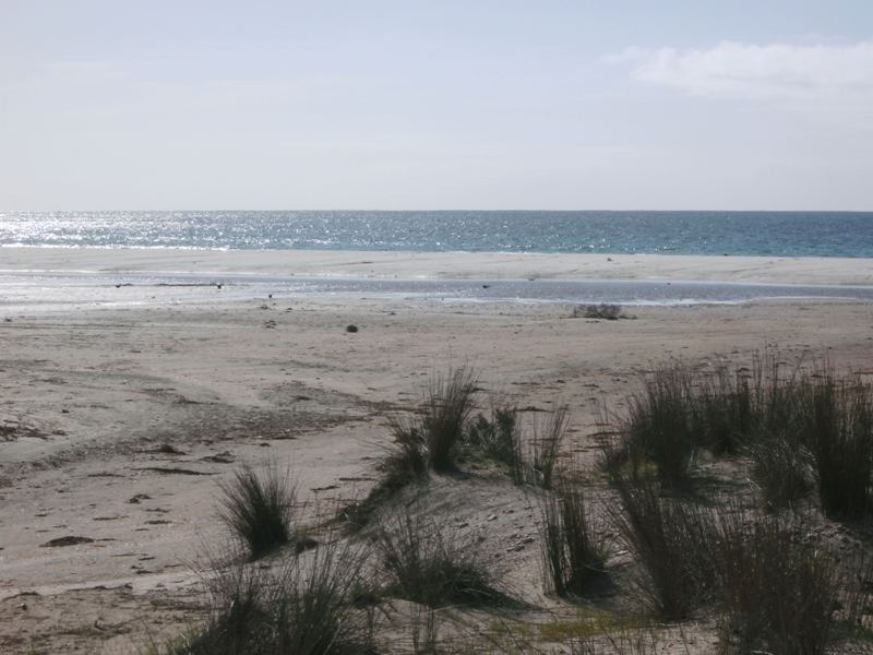 Lot 22 Swaffers Road, Lipson SA 5607