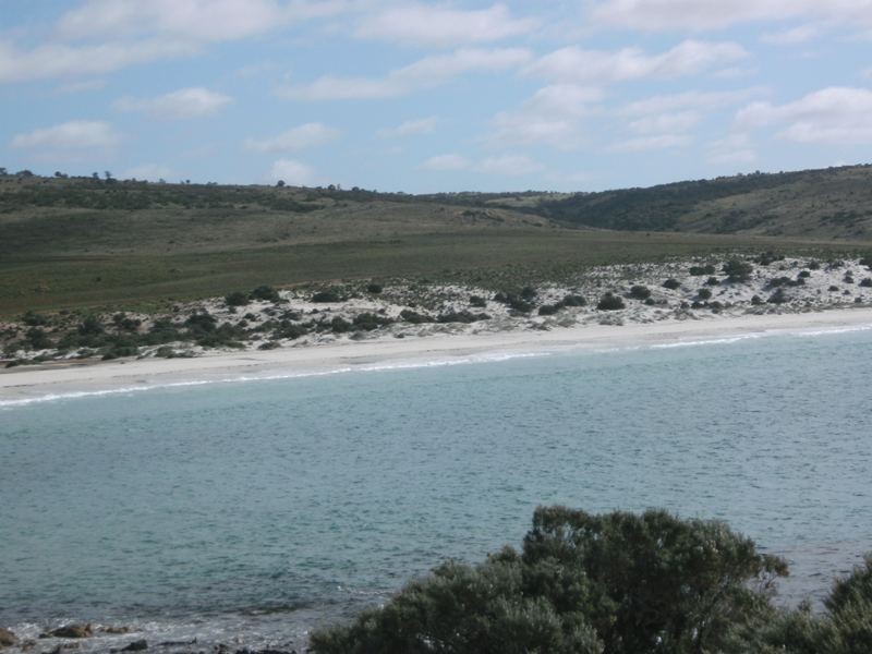 Lot 22 Swaffers Road, Lipson SA 5607