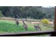 Lot 6 Foothills Road, Tumby Bay SA 5605