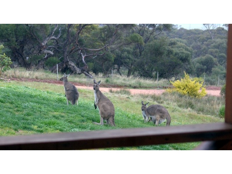 Lot 6 Foothills Road, Tumby Bay SA 5605