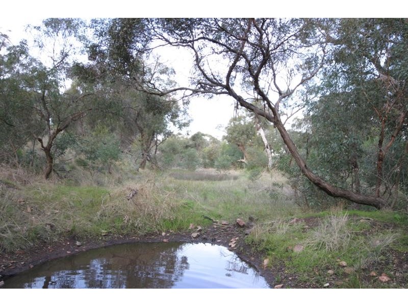 Lot 6 Foothills Road, Tumby Bay SA 5605