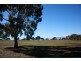 Lot 21 Lincoln Highway, Boston Via, Port Lincoln SA 5606
