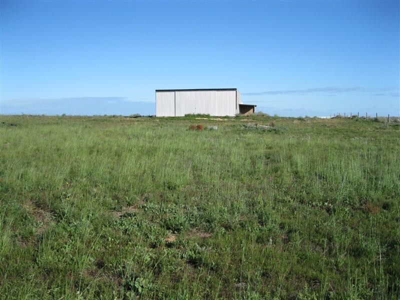 Lot 201 Trenowden Drive, Ceduna SA 5690