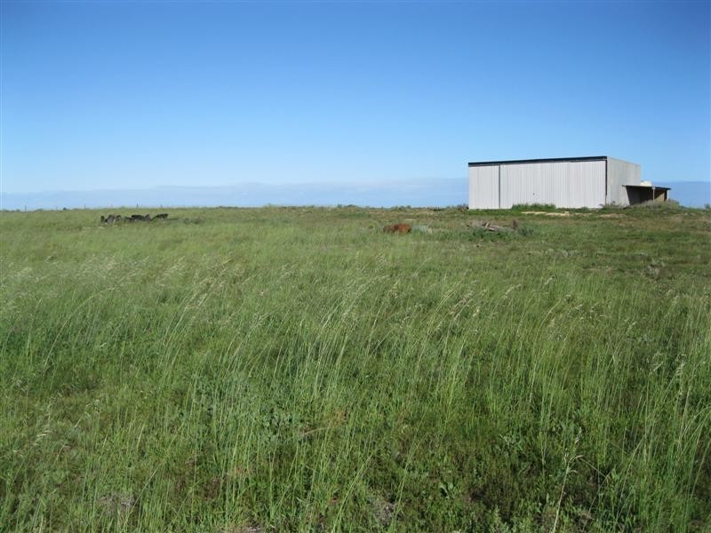 Lot 201 Trenowden Drive, Ceduna SA 5690