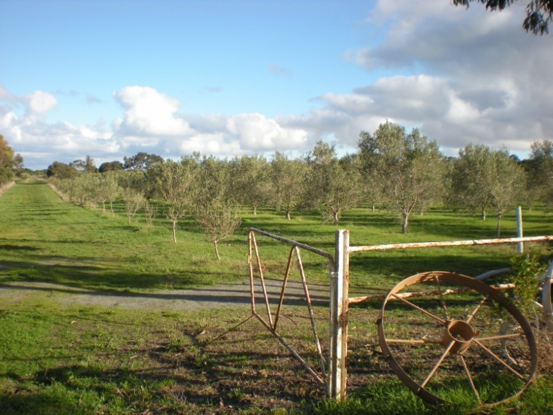 Section 465 Pendale Road, Duck Ponds Via, Port Lincoln SA 5606
