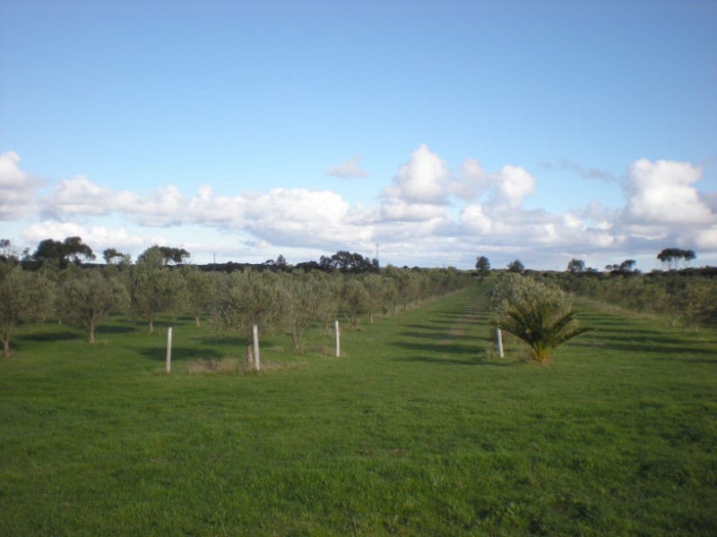 Section 465 Pendale Road, Duck Ponds Via, Port Lincoln SA 5606