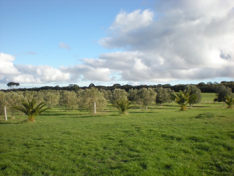 Section 465 Pendale Road, Duck Ponds Via, Port Lincoln SA 5606