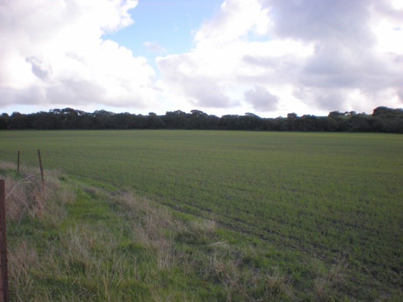 Section 465 Pendale Road, Duck Ponds Via, Port Lincoln SA 5606