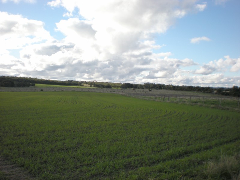 Section 465 Pendale Road, Duck Ponds Via, Port Lincoln SA 5606