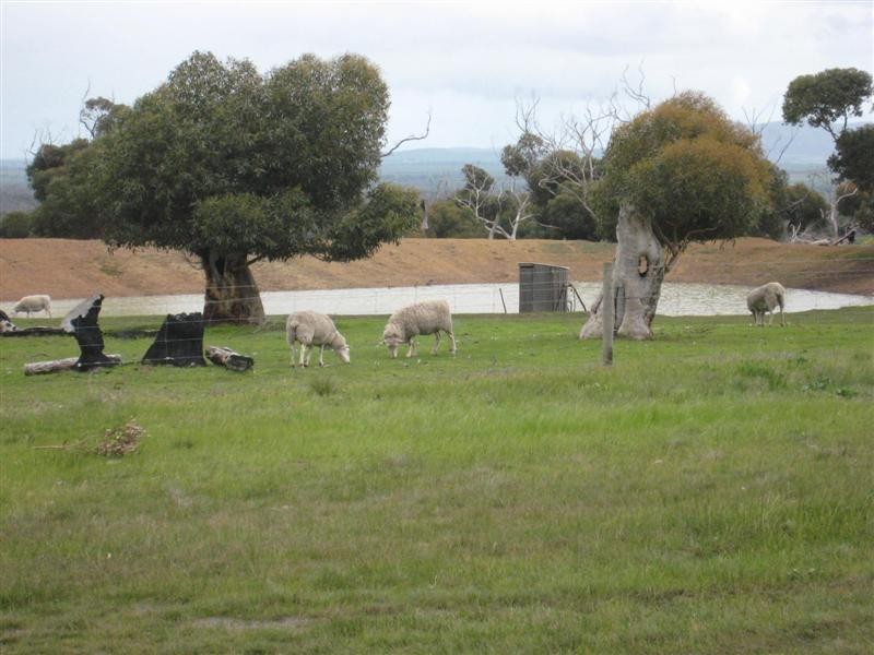 Lot 6 Borlase Road, Port Lincoln SA 5606