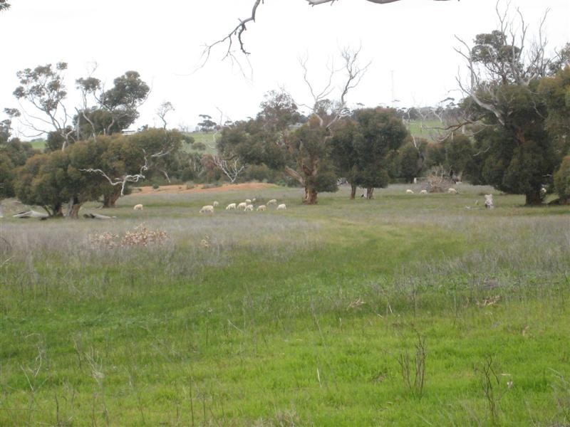 Lot 6 Borlase Road, Port Lincoln SA 5606