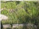 57  Sanctuary Drive, Boston via, Port Lincoln SA 5606