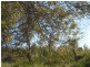 57  Sanctuary Drive, Boston via, Port Lincoln SA 5606
