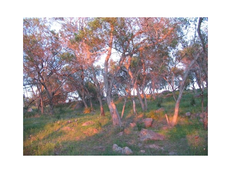 57  Sanctuary Drive, Boston via, Port Lincoln SA 5606