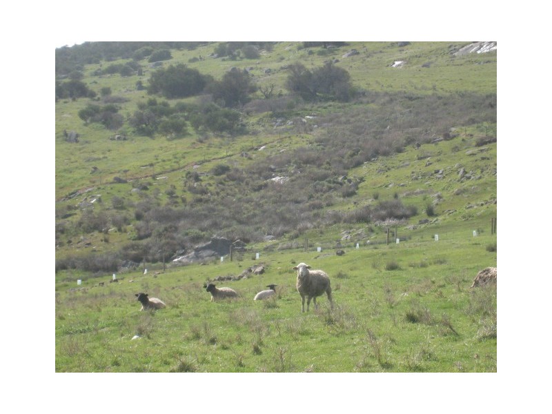 25-27 Thornbill Road, Boston via, Port Lincoln SA 5606