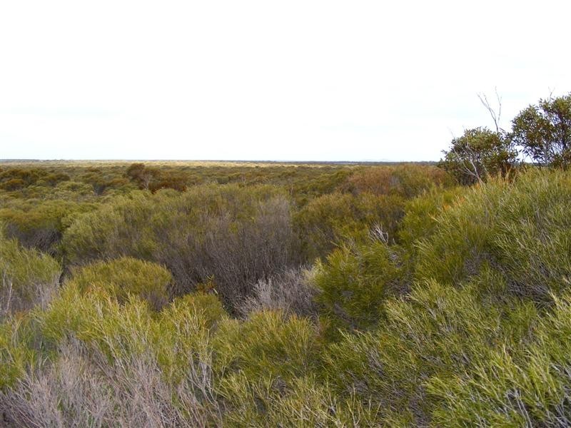 Sec 59 Hd Verran, Verran SA 5603