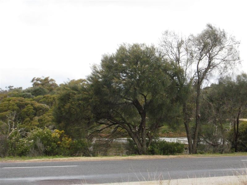195 and 197 Esplanade, Coffin Bay SA 5607