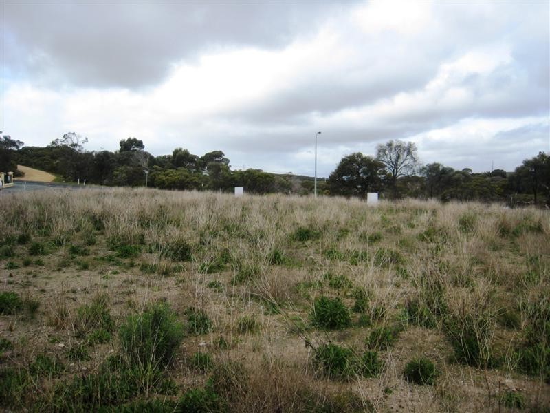 195 and 197 Esplanade, Coffin Bay SA 5607