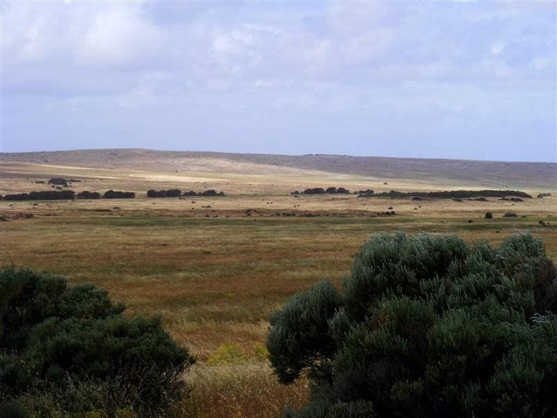 Sec 52 Flinders Highway, Elliston SA 5670