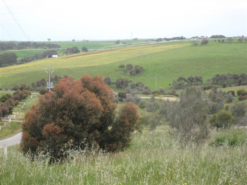 50 ( Lot 42 ) Shearwater Drive, Port Lincoln SA 5606