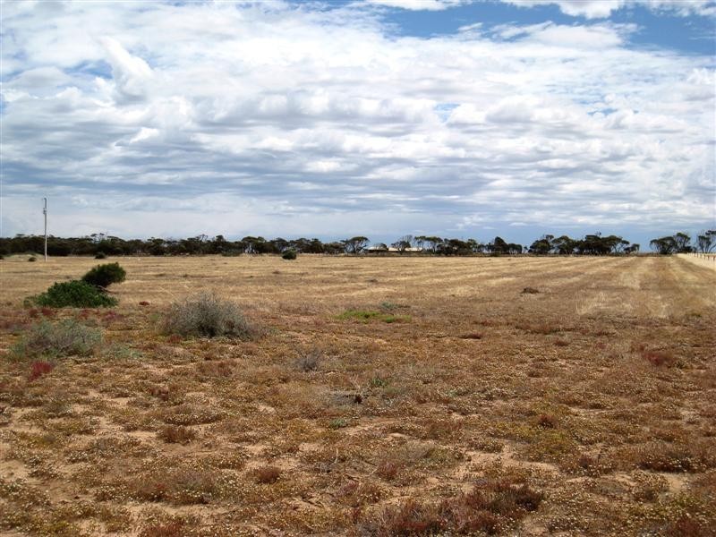 Lot 201 Thiselton Way, DENIAL BAY, Ceduna SA 5690