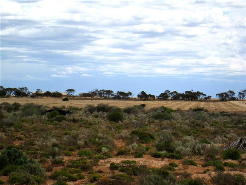 Lot 201 Thiselton Way, DENIAL BAY, Ceduna SA 5690