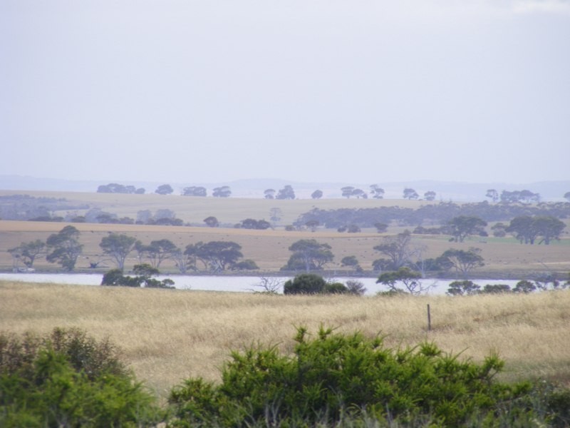 Section 171 Taylor Road, Wangary SA 5607