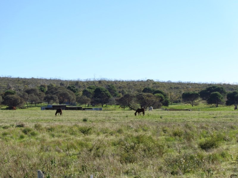 Lot 8 Blue Fin Road, Port Lincoln SA 5606