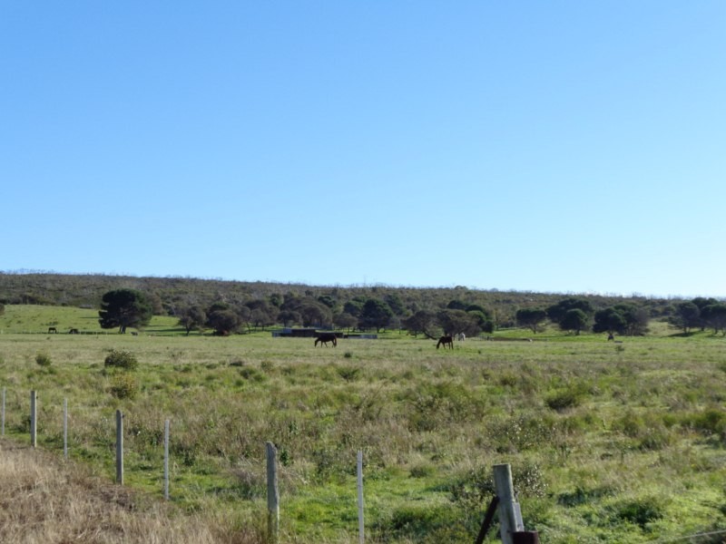 Lot 8 Blue Fin Road, Port Lincoln SA 5606