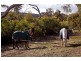 Sec 463 Charlton Gully Road, Green Patch via, Port Lincoln SA 5606