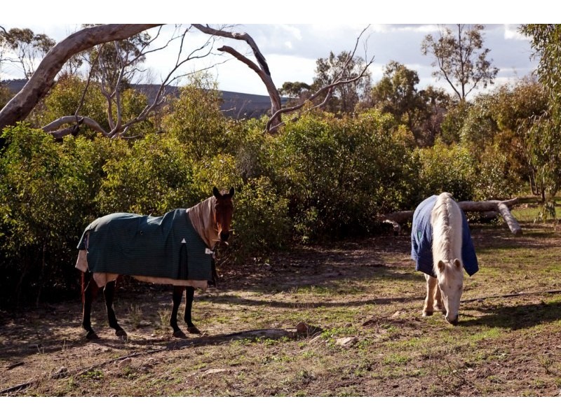 Sec 463 Charlton Gully Road, Green Patch via, Port Lincoln SA 5606