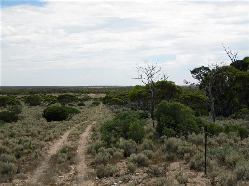 Section 31 Hundred of Blacker, MUDAMUCKLA, Ceduna SA 5690