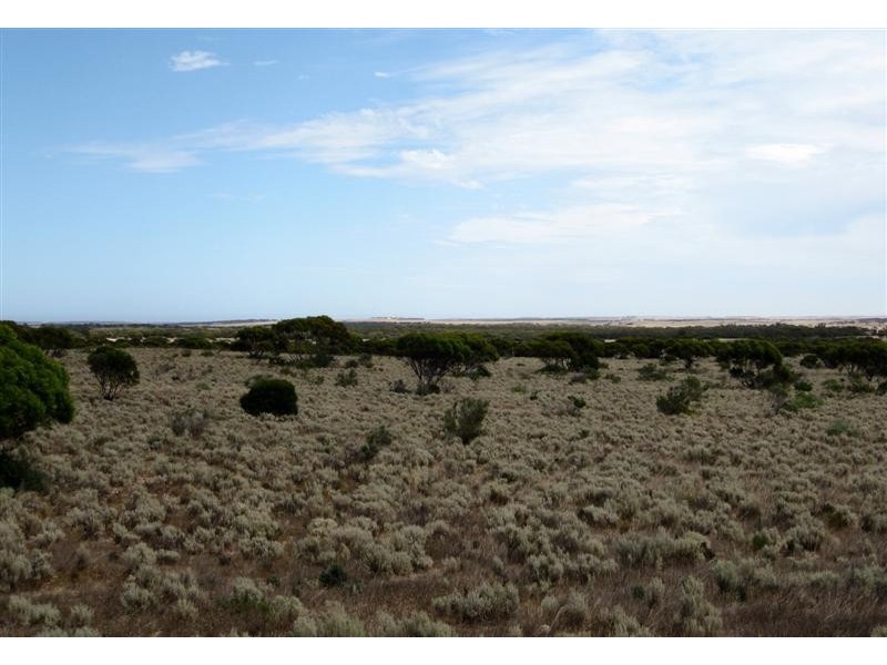 Section 31 Hundred of Blacker, MUDAMUCKLA, Ceduna SA 5690