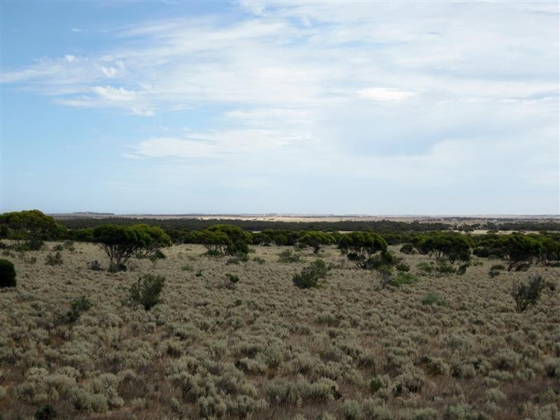 Section 31 Hundred of Blacker, MUDAMUCKLA, Ceduna SA 5690
