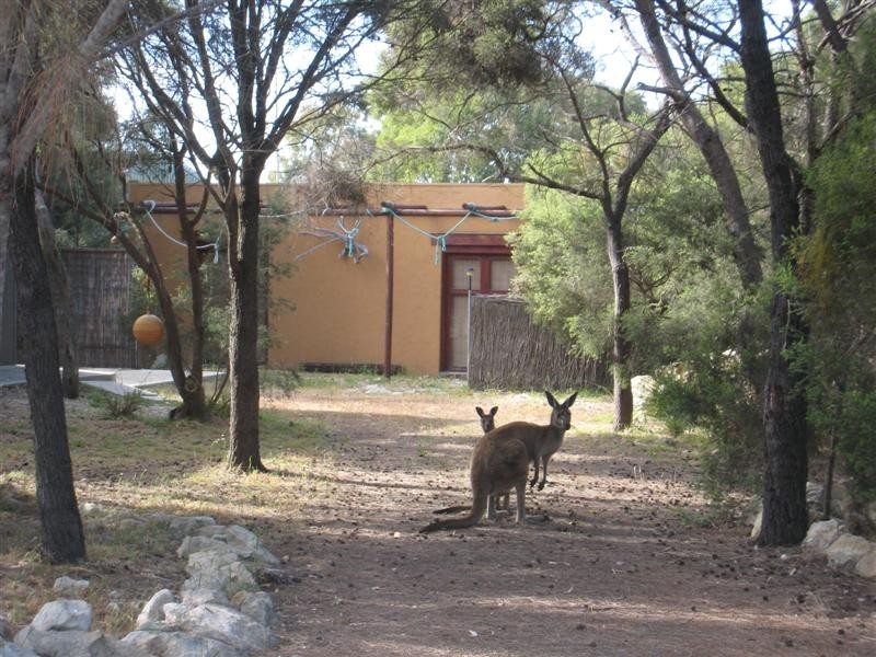 17 Greenly Avenue, Coffin Bay SA 5607